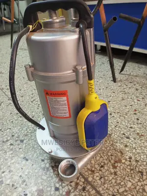 Electric Submersible Pump