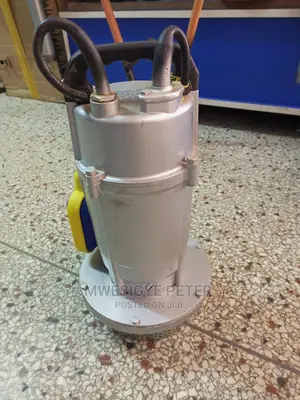 Electric Submersible Pump