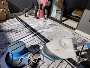 Extraction Carpet Cleaning