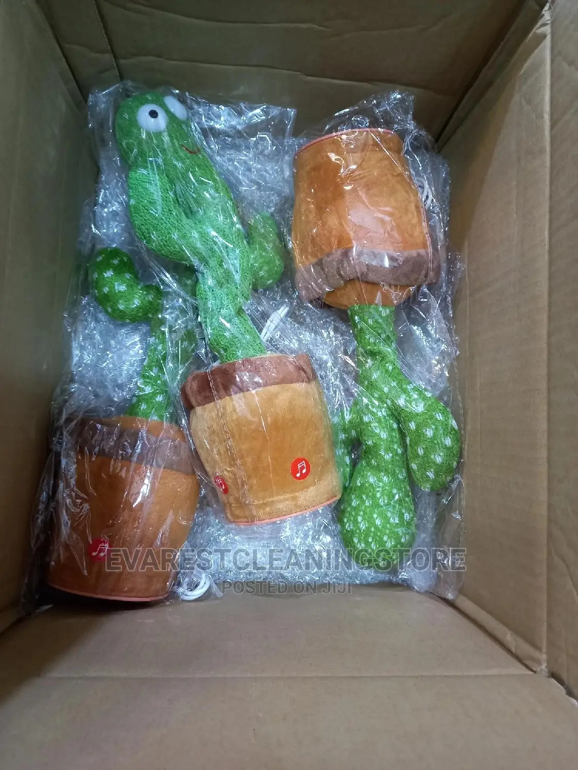 Cactus Kids Toy