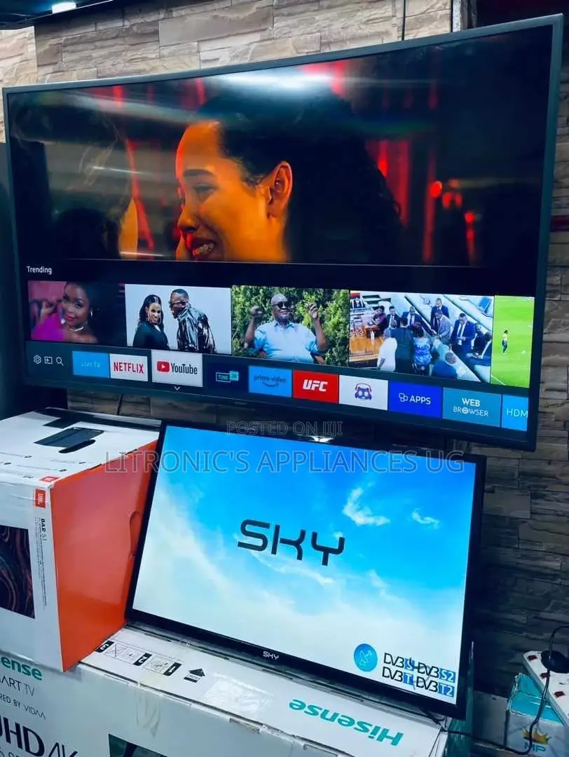 65"Inches Sky Smart Flat Screen
