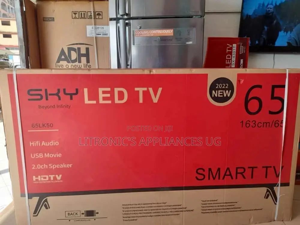 65"Inches Sky Smart Flat Screen