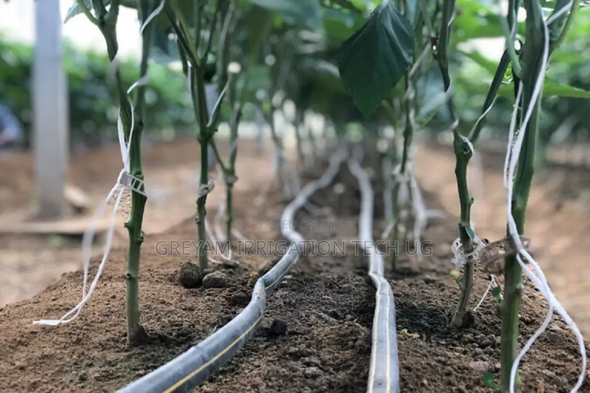 Mango Drip Irrigation Kit for 1 Acre
