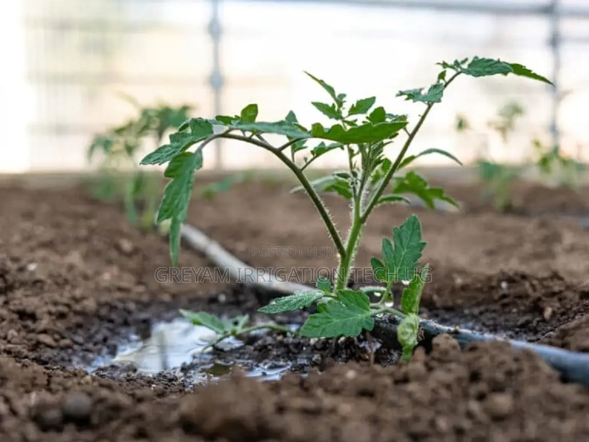 Tomatoe Drip Irrigation Kit For 1 Acre