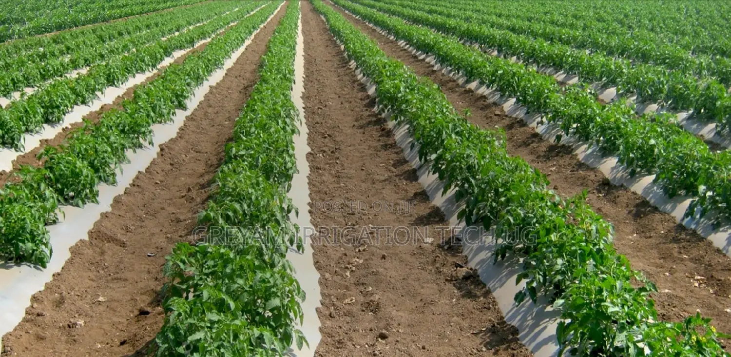 Tomatoe Drip Irrigation Kit For 1 Acre