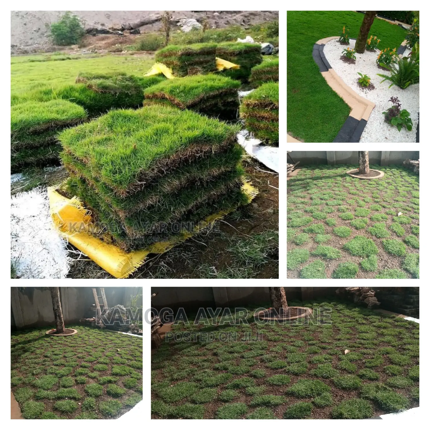 Natural Grass and Hybrid Natural Grass Carpet
