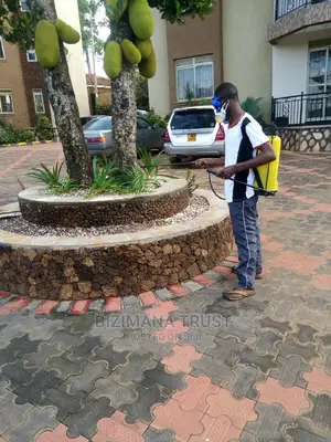 Fumigation of Cockroaches(EBIYENJE)