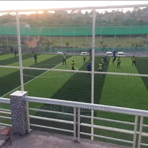 Grass Carpet