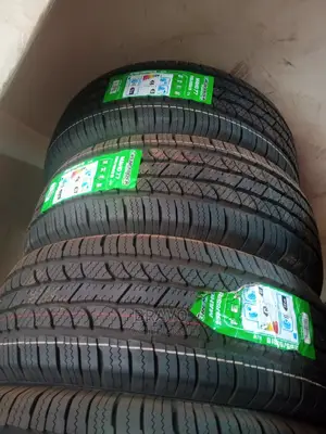 255/55r19 Greenlander