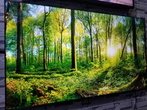 Hisense 65 Inch Smart Frameless- Used for 3 Months