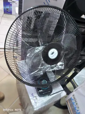 Black Wall Fans