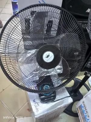 Black Wall Fans