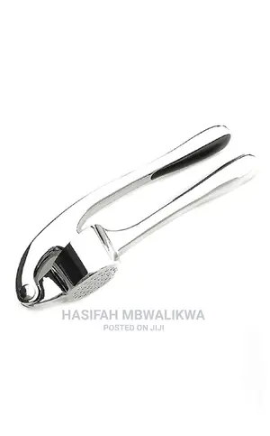 Stainless Steel Garlic Crusher