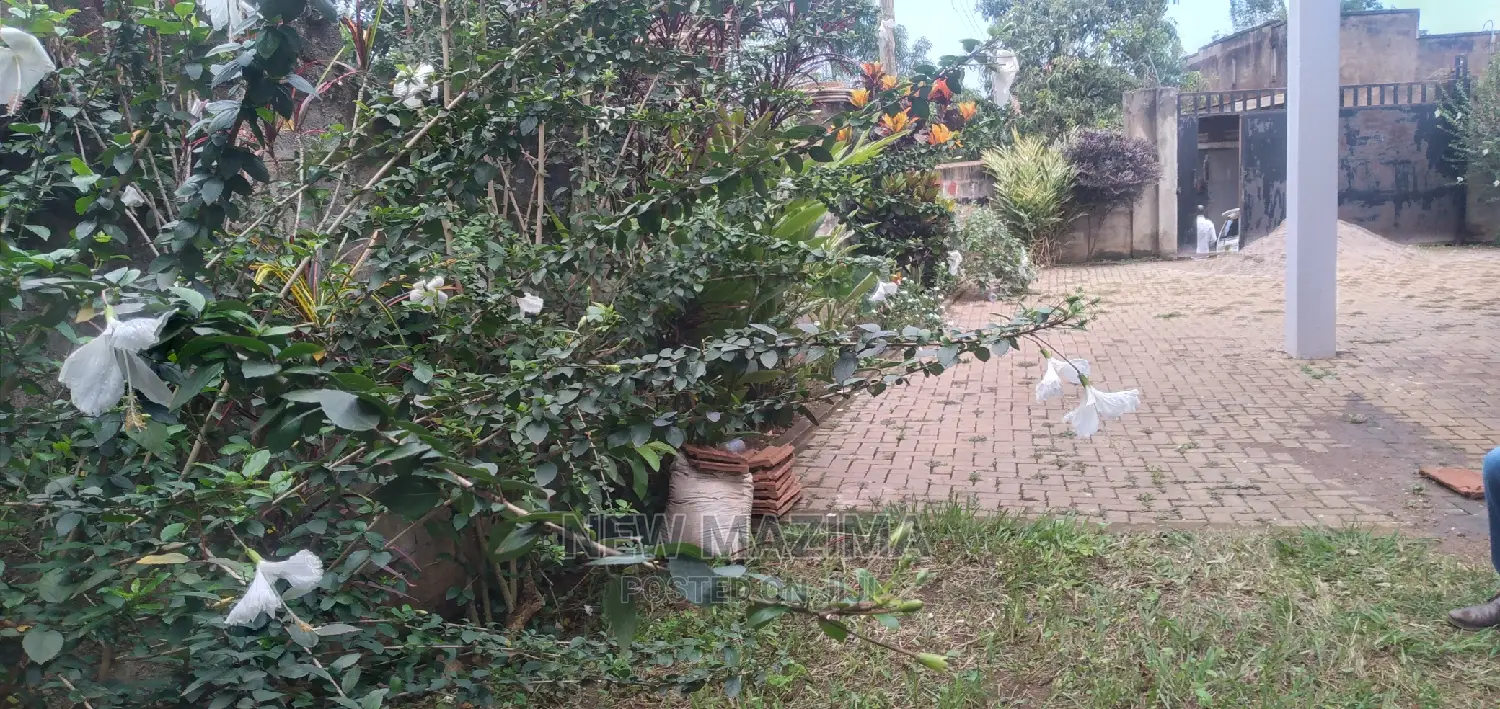 4bdrm Block of Flats in Nkumba Heights, Central Division for Sale