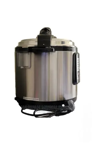 Digiwave Pressure Cooker 9l/1300w- Silver