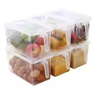 Fridge Container