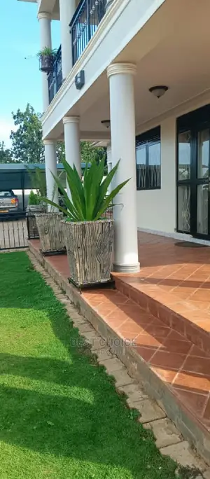 Beautiful Planters Plants Flowers to Style Up Your Property