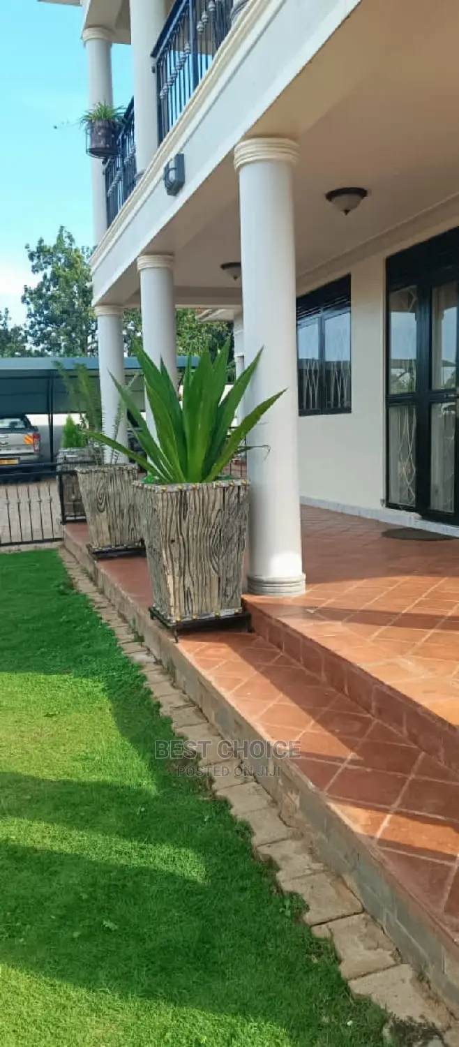 Beautiful Planters Plants Flowers to Style Up Your Property