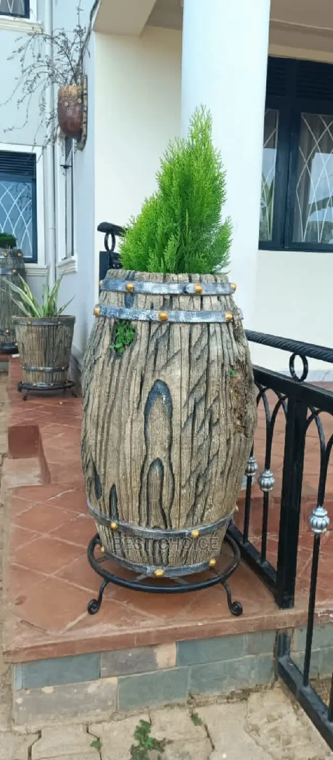Beautiful Planters Plants Flowers to Style Up Your Property