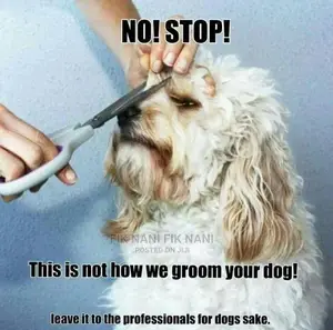 Pet Grooming