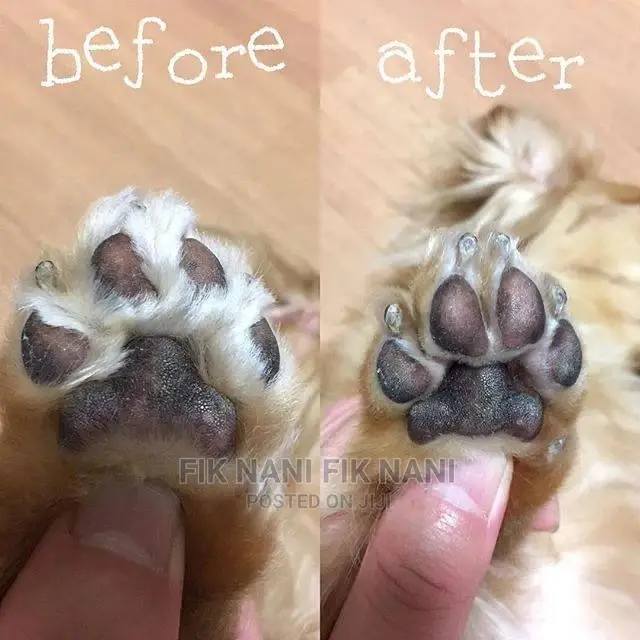 Pet Grooming