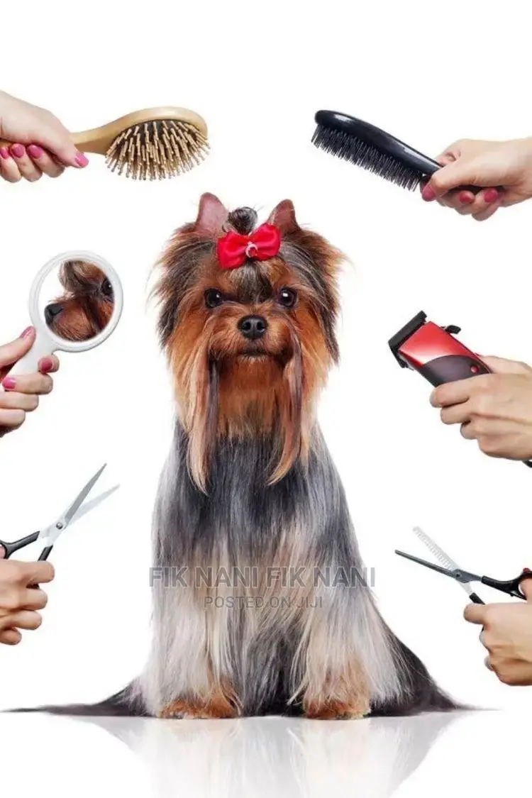 Pet Grooming