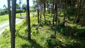 18 Acres of Titled Hill Top Land for Sale in Fort Portal