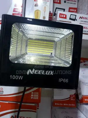 100W Neelux Solar Flood Light