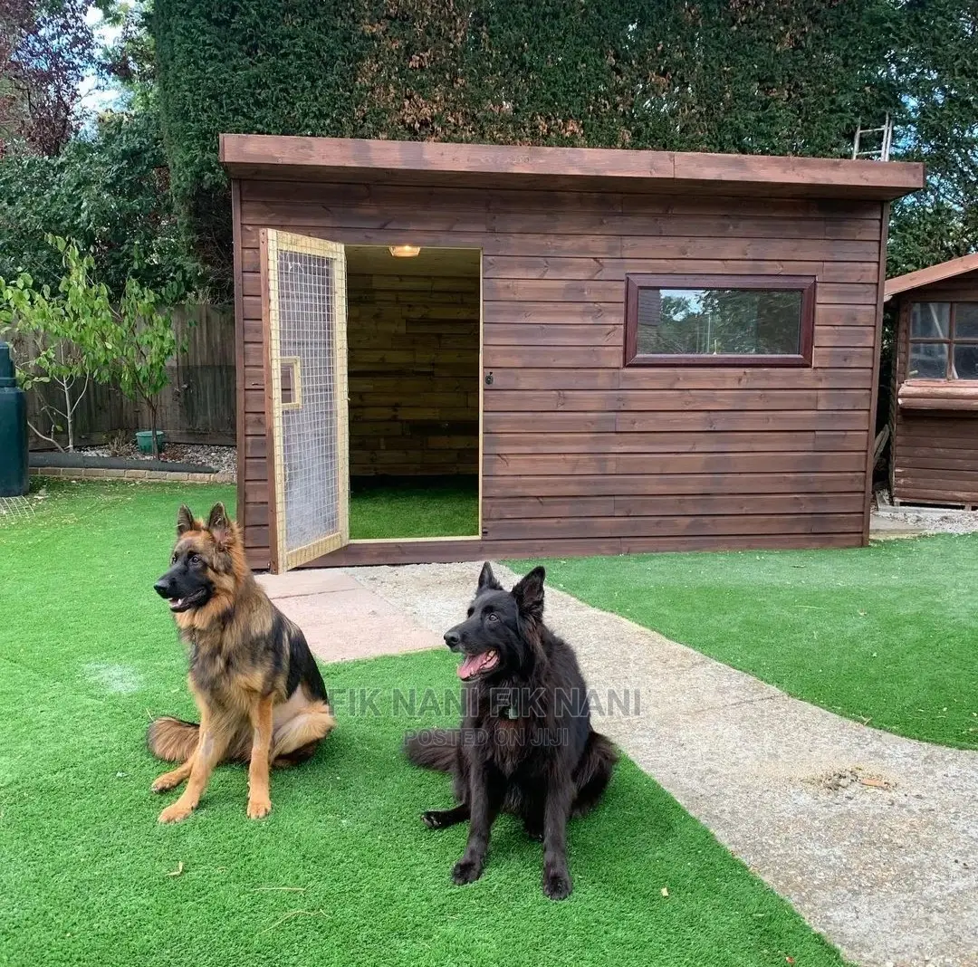 Dog Kennels