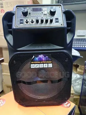 Speaker/Public Addresses System