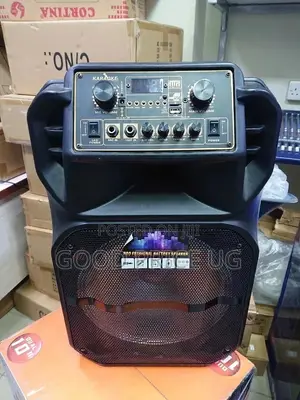 Speaker/Public Addresses System