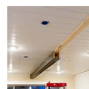 Gypsum and Ceiling Boards