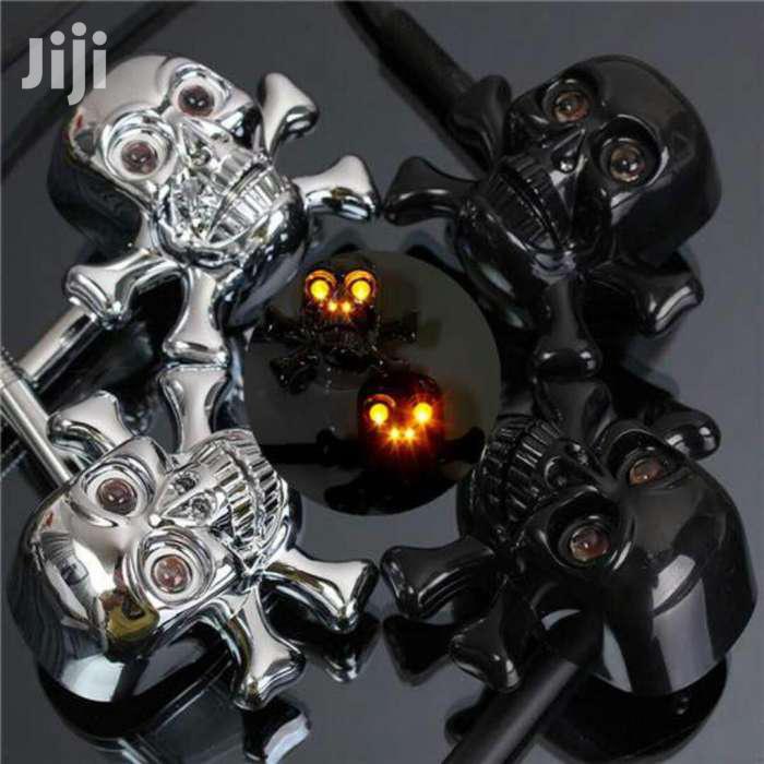 Skull Motorcycle Winker Lights