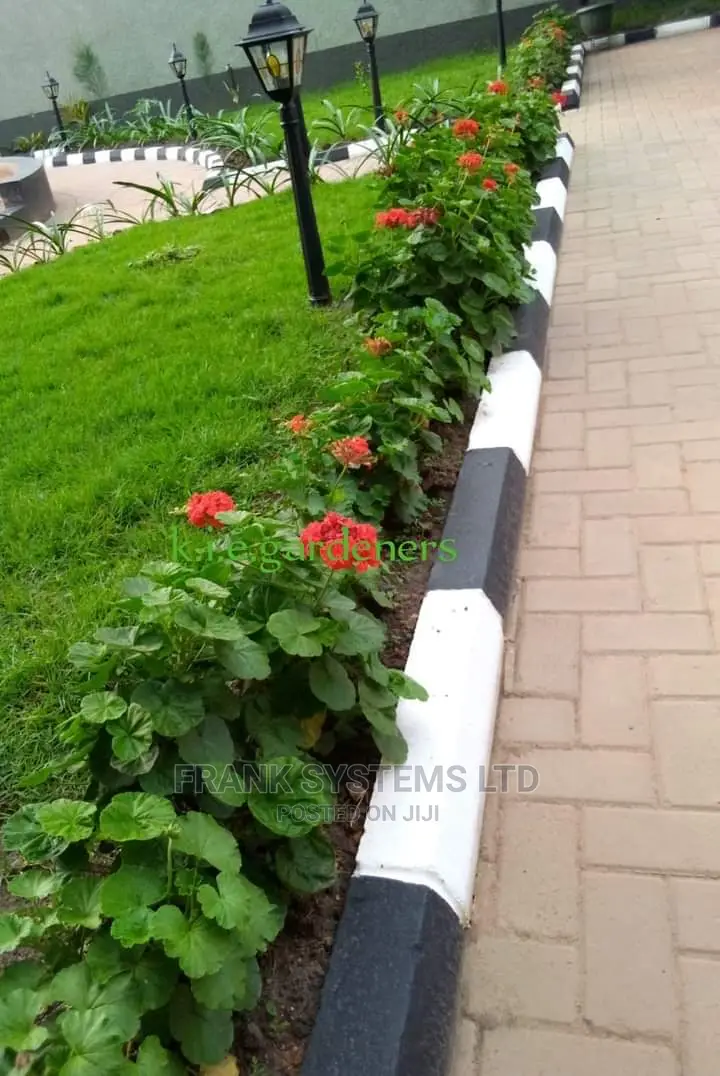 Gardening and Flowering 