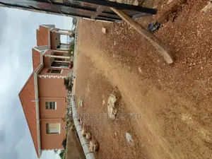Gardening and Flowering 