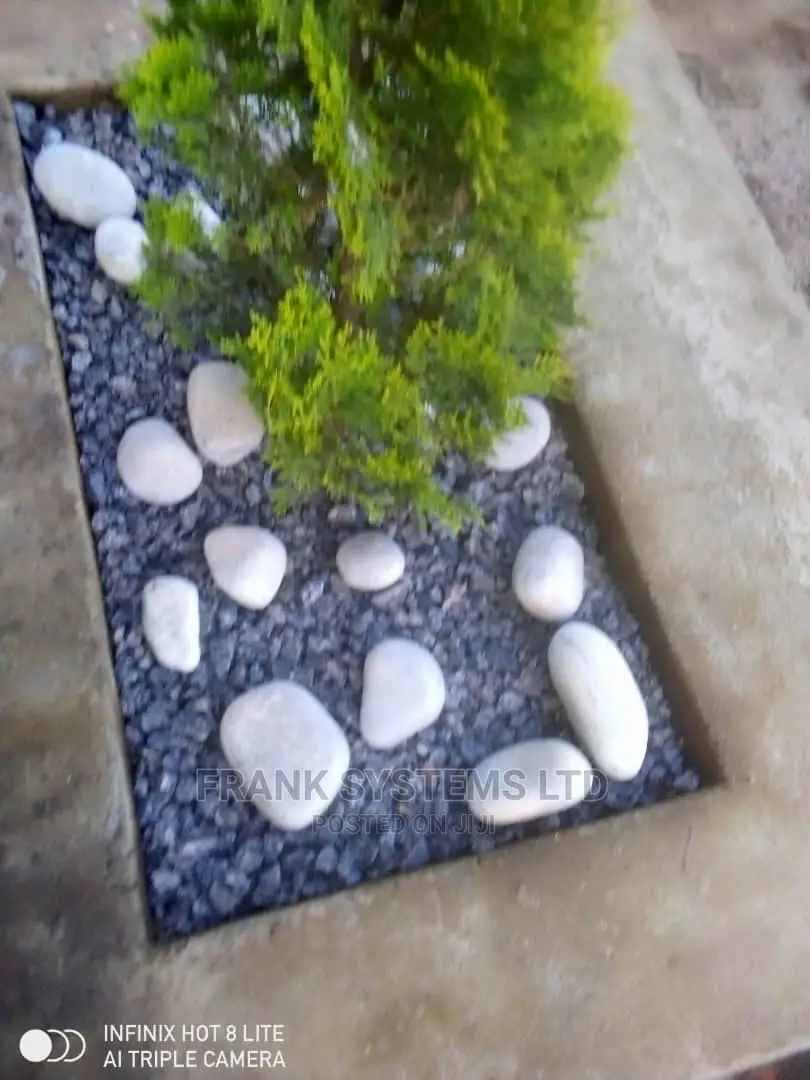 Gardening,Leveling and Flowering