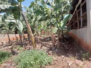 5.3acres of Land for Sale in Kiwenda