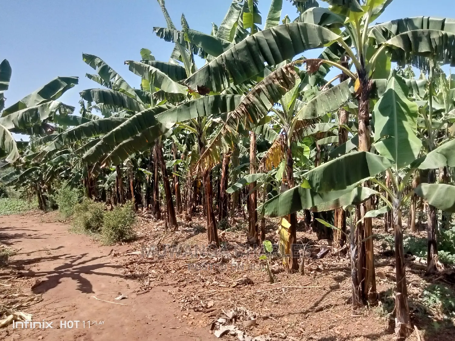 5.3acres of Land for Sale in Kiwenda