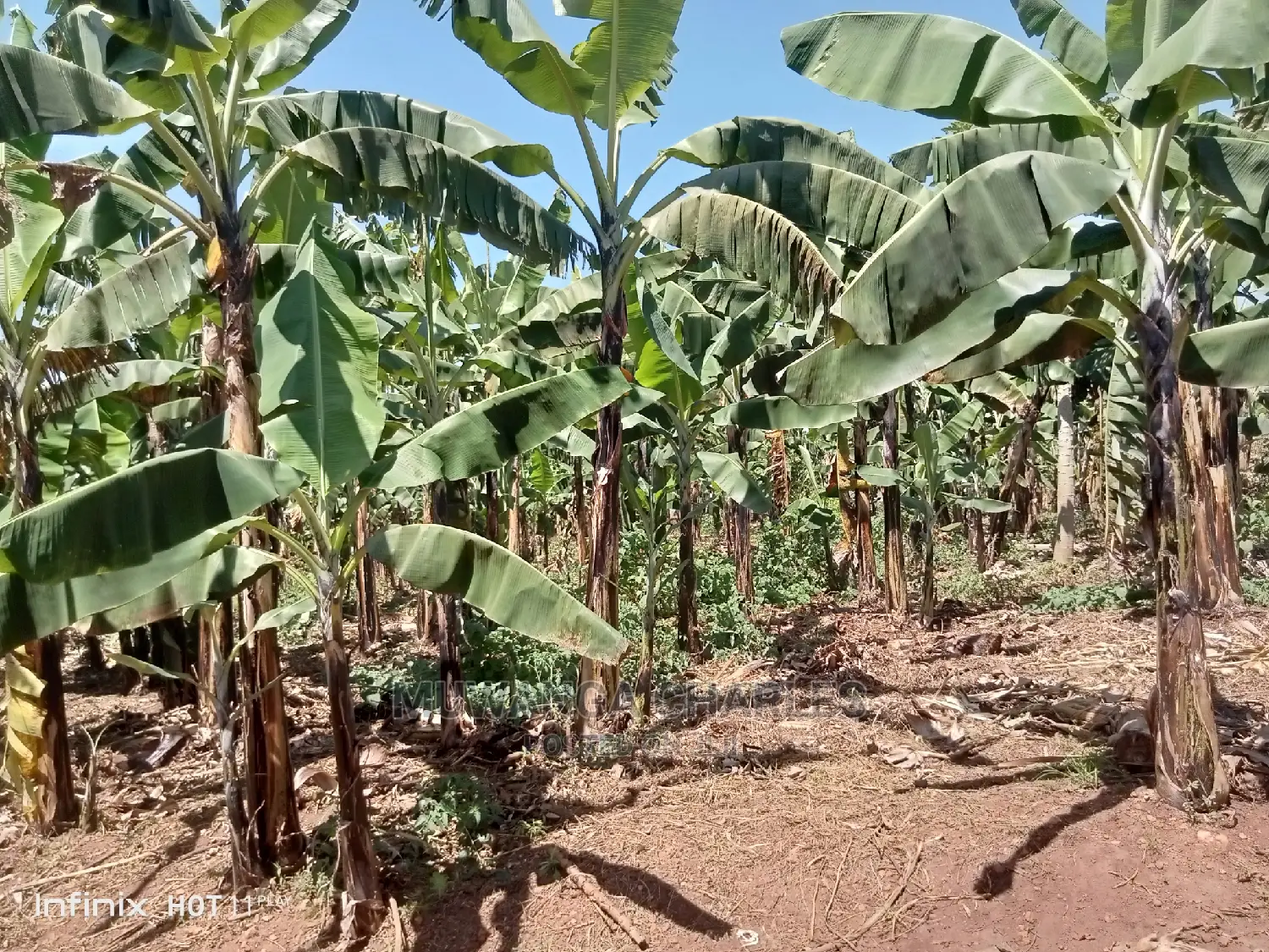 5.3acres of Land for Sale in Kiwenda
