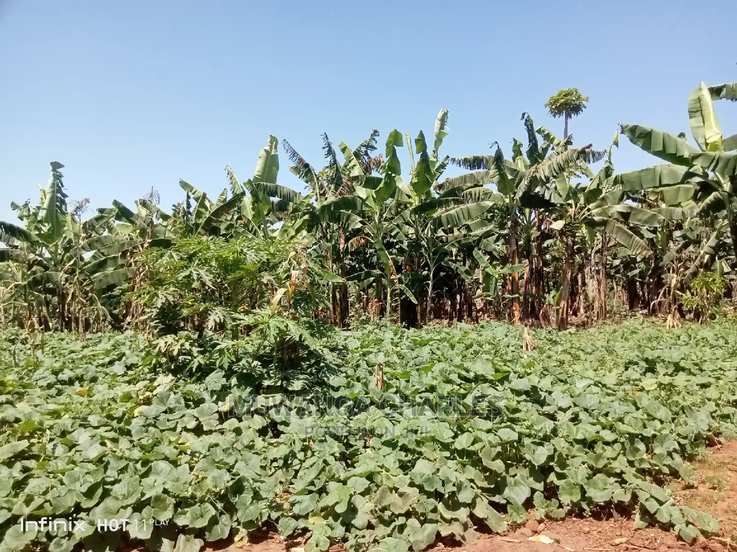 5.3acres of Land for Sale in Kiwenda