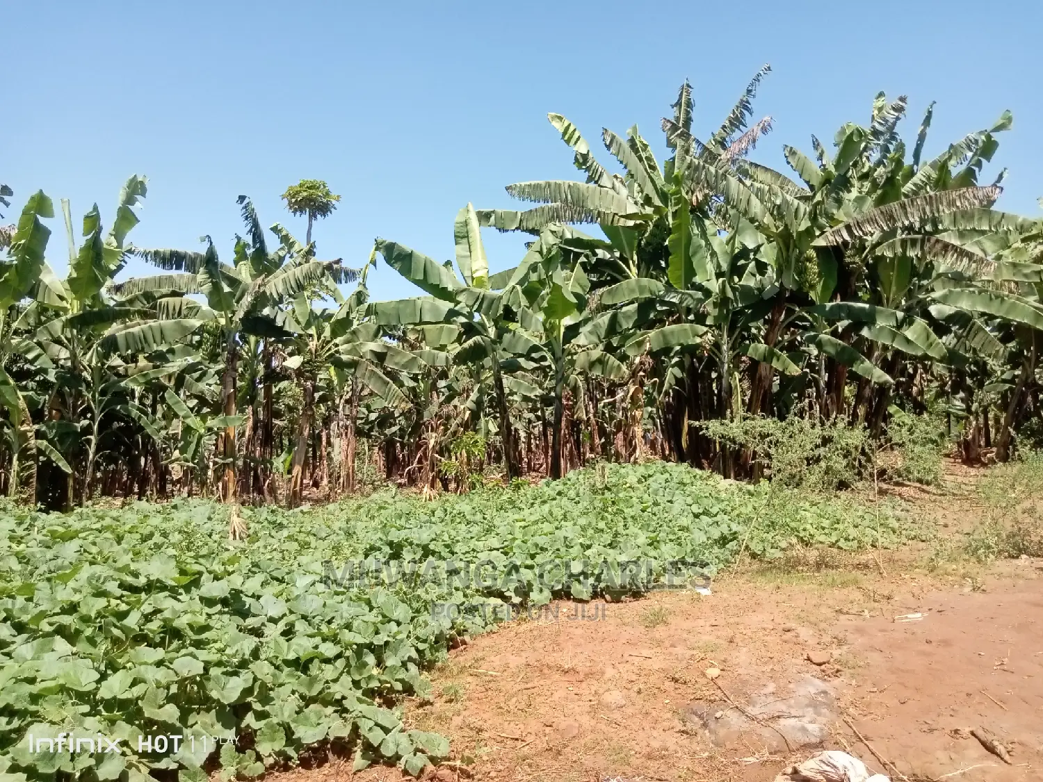 5.3acres of Land for Sale in Kiwenda