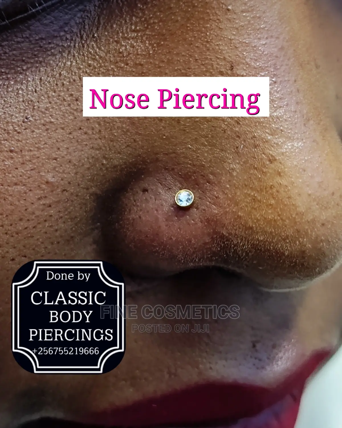 1pc Titanium Nose Pin Threadless Push in Screw Nose Pin/Stud