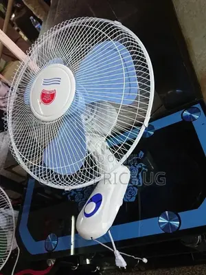 16 Inches Crown Wall Fan