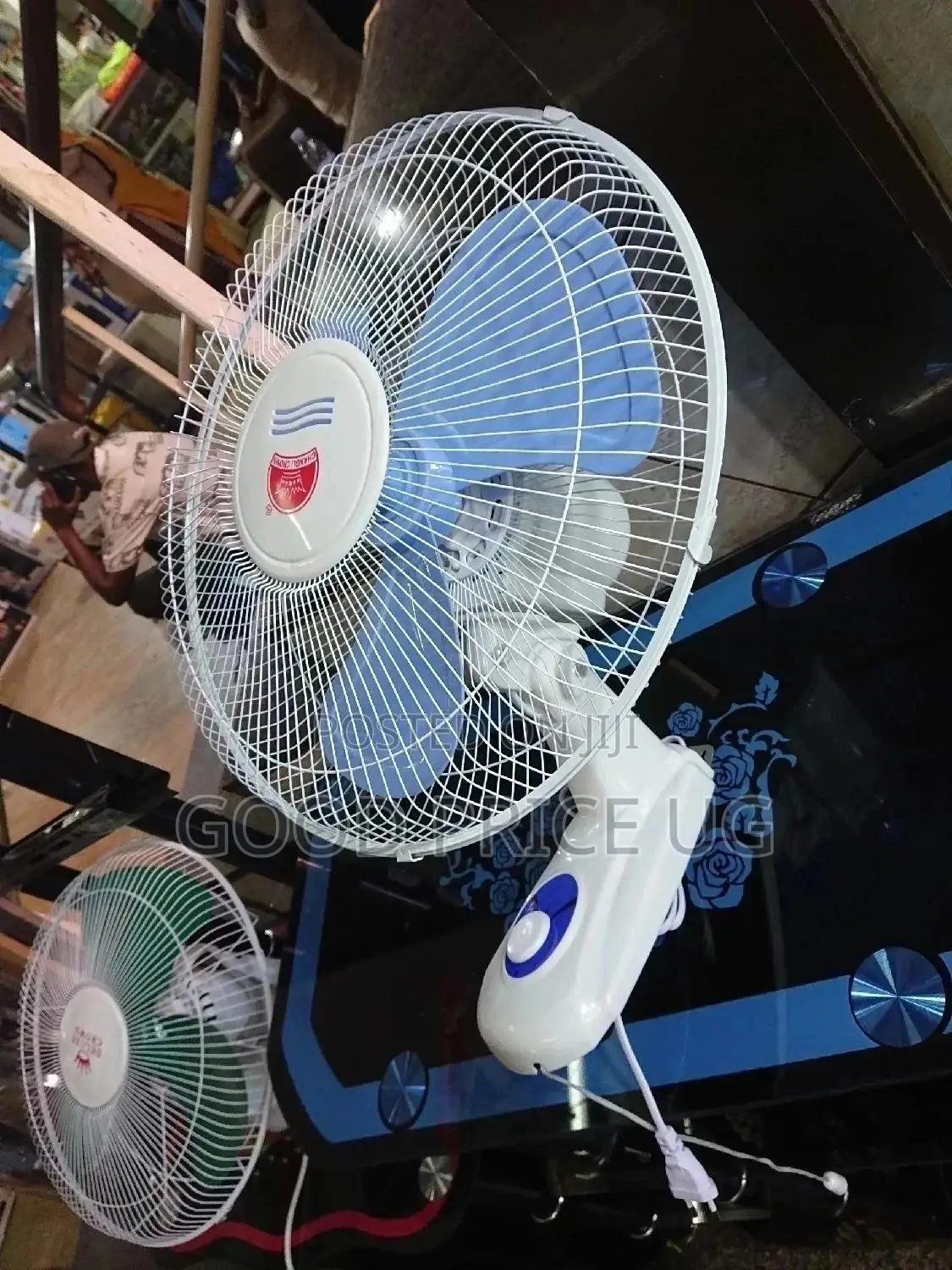 16 Inches Crown Wall Fan