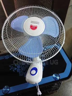 16 Inches Crown Wall Fan