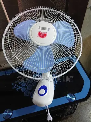 16 Inches Crown Wall Fan