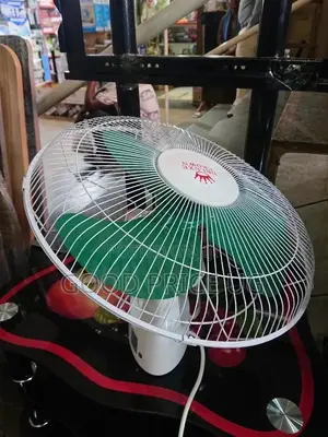 16 Inches Deluxe Crown Ceiling Fan