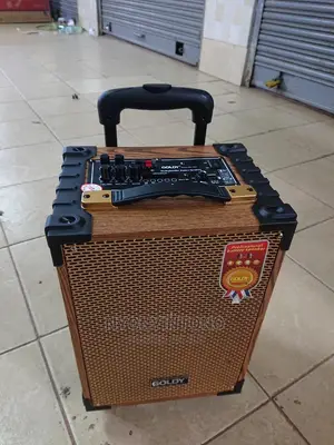 Goldy Rechargeable High Quality Wireless Speaker
