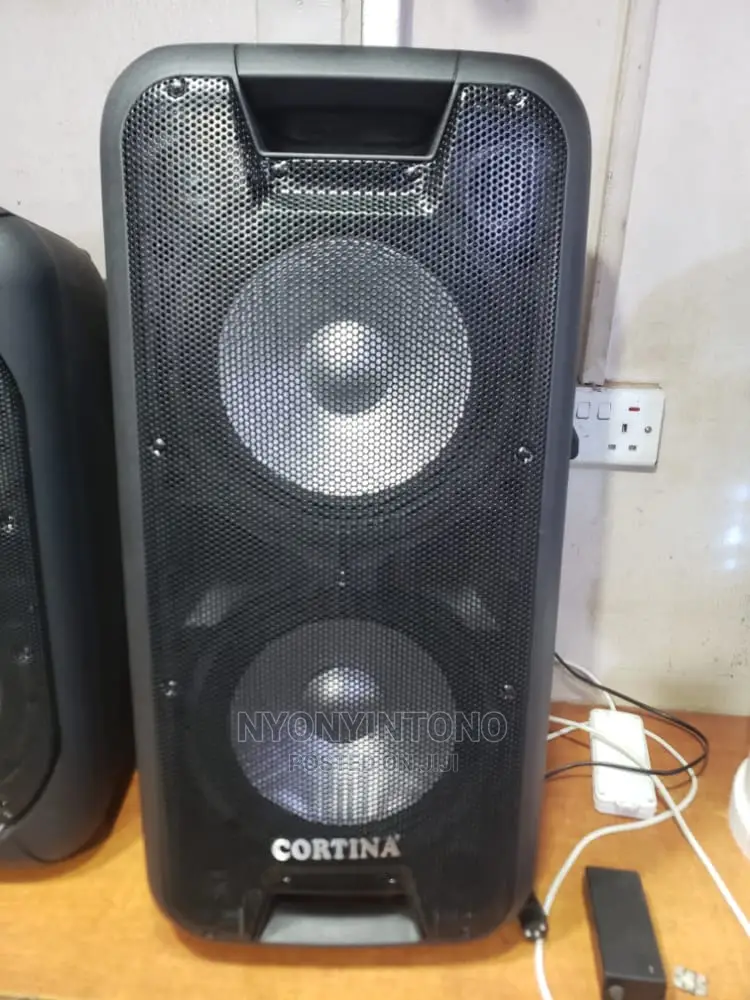 12" Jazz Professional Battery Speaker With Microphone
