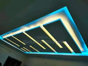 Best Ever Gypsum Ceiling.